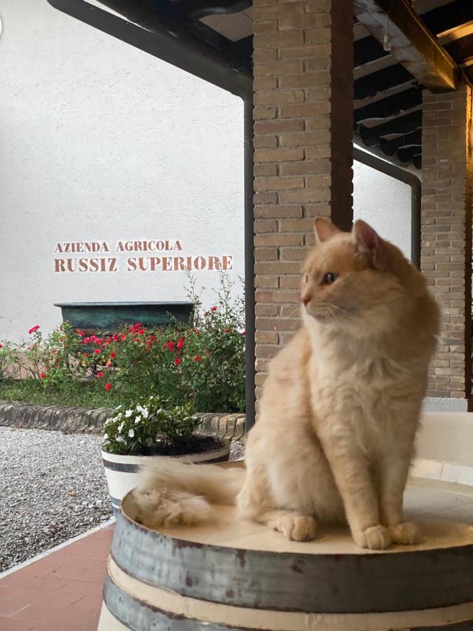 Relais Russiz Superiore Capriva del Friuli Exterior foto