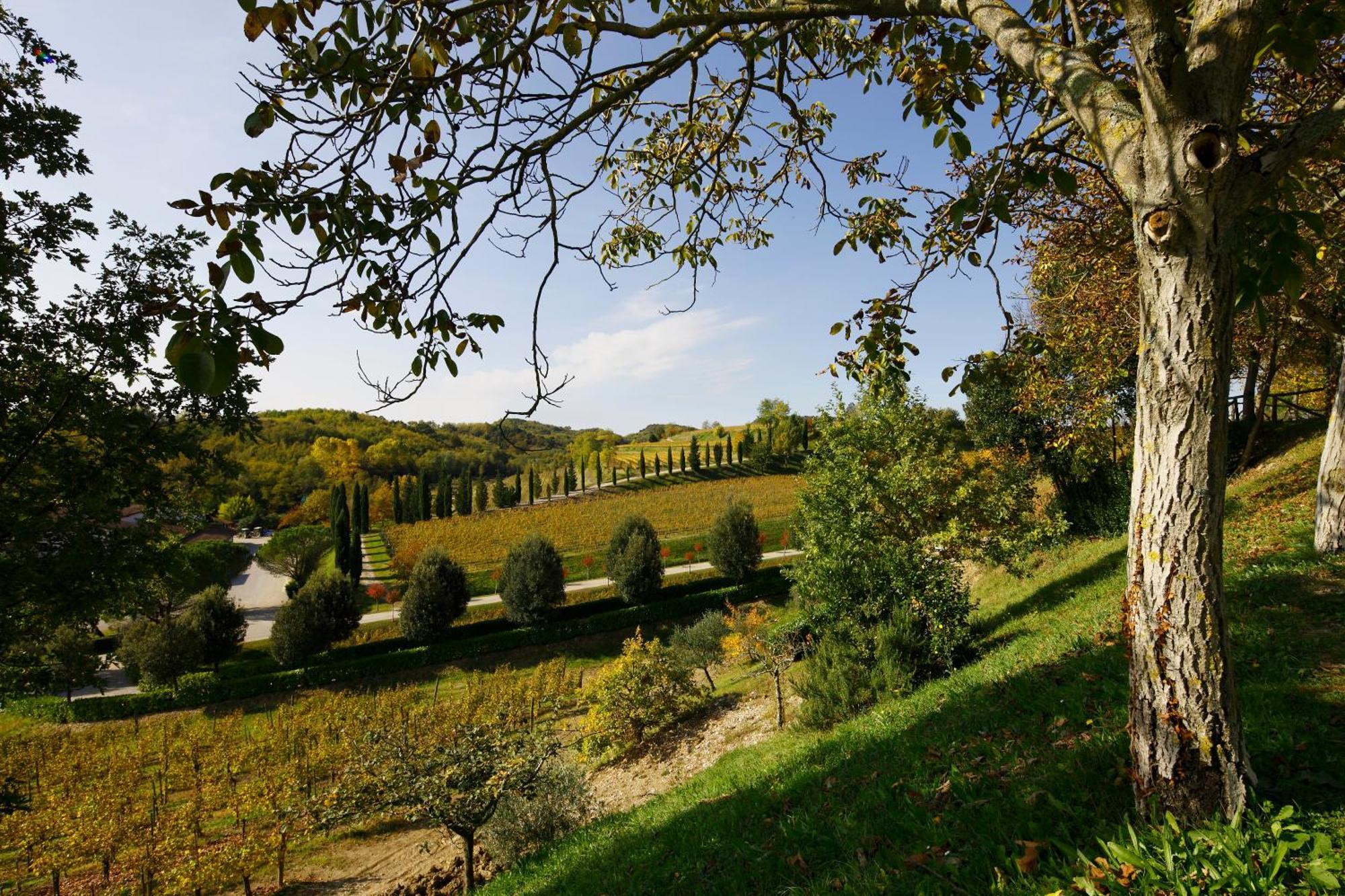 Relais Russiz Superiore Capriva del Friuli Exterior foto